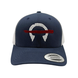DeliverFund Logo Hat